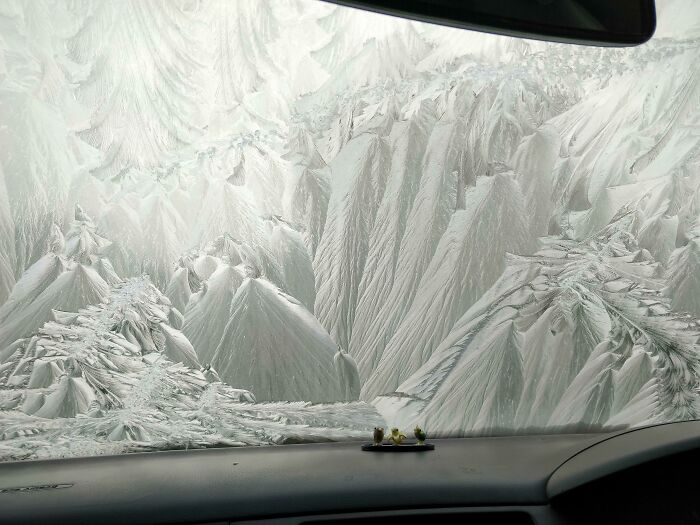 My Windscreen Turned Into an Ice Masterpiece Overnight.