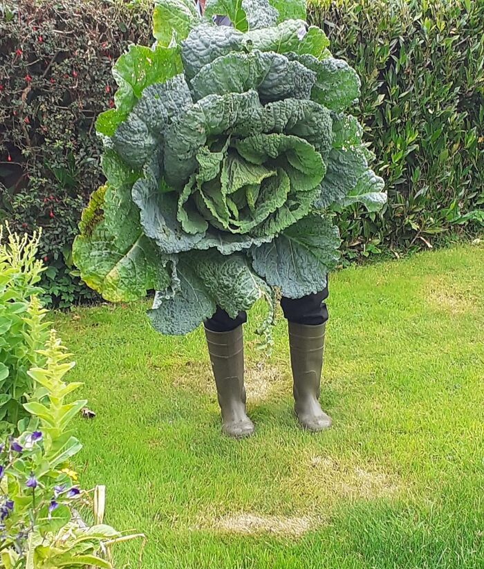 Wait Till You See These Wild Nature Pics That Totally Make You Go Whoa!