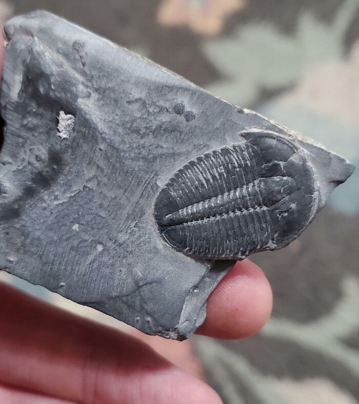 Wait Till You See These Wild Nature Pics That Totally Make You Go Whoa!