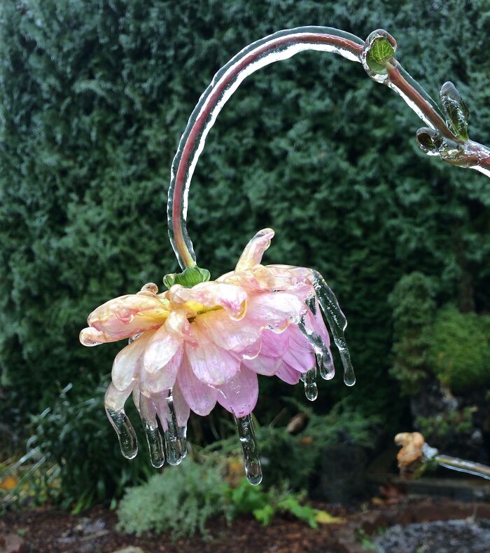 Wait Till You See These Wild Nature Pics That Totally Make You Go Whoa!