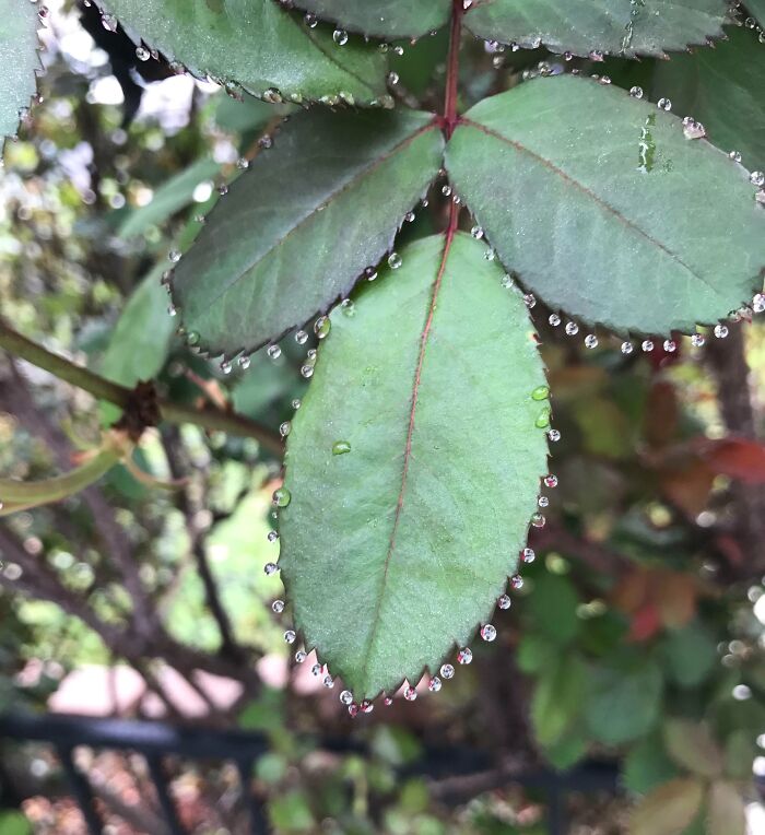 Wait Till You See These Wild Nature Pics That Totally Make You Go Whoa!