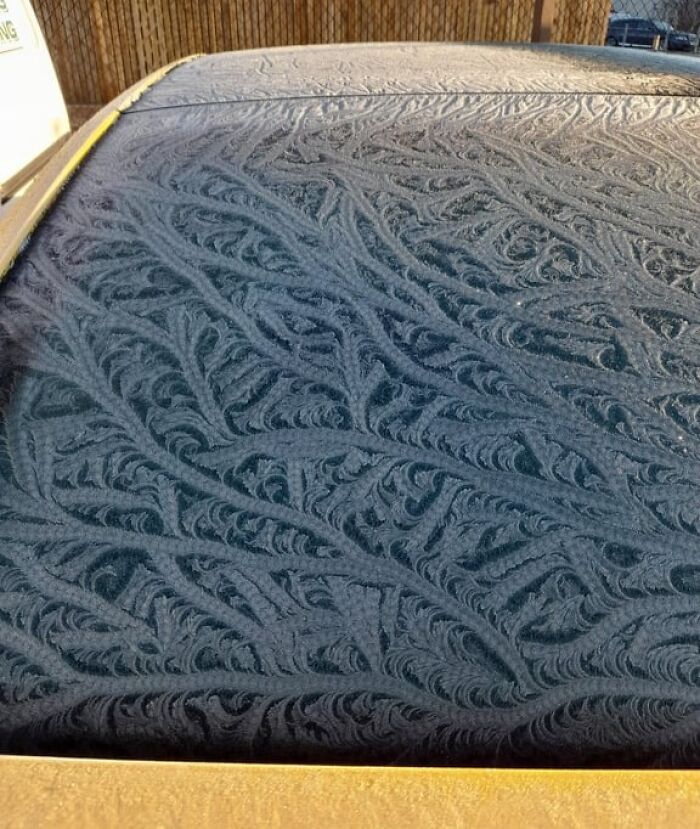 Wait Till You See These Wild Nature Pics That Totally Make You Go Whoa!