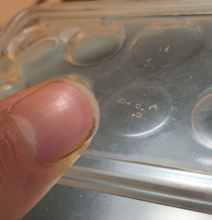 Wait Till You See These Wild Nature Pics That Totally Make You Go Whoa!