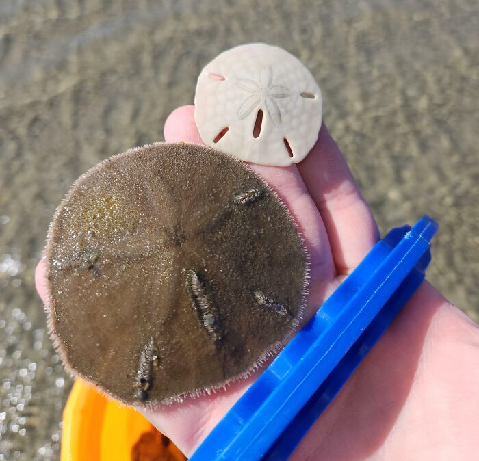 Wait Till You See These Wild Nature Pics That Totally Make You Go Whoa!