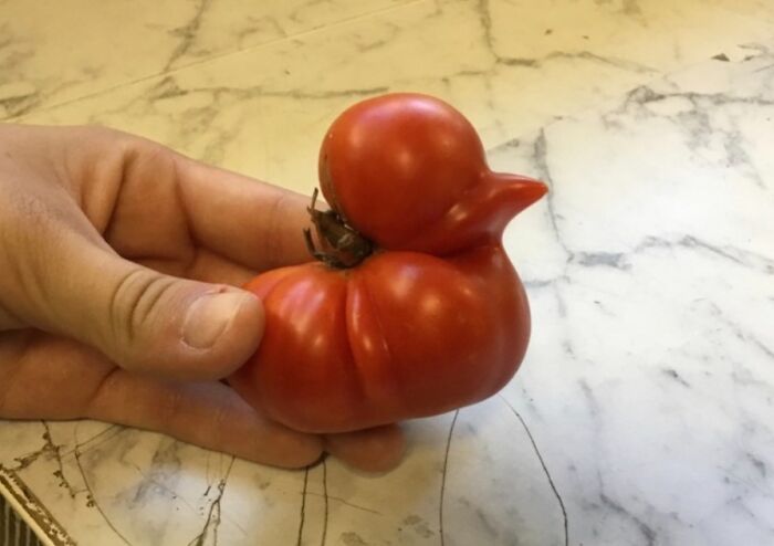 Wait Till You See These Wild Nature Pics That Totally Make You Go Whoa!