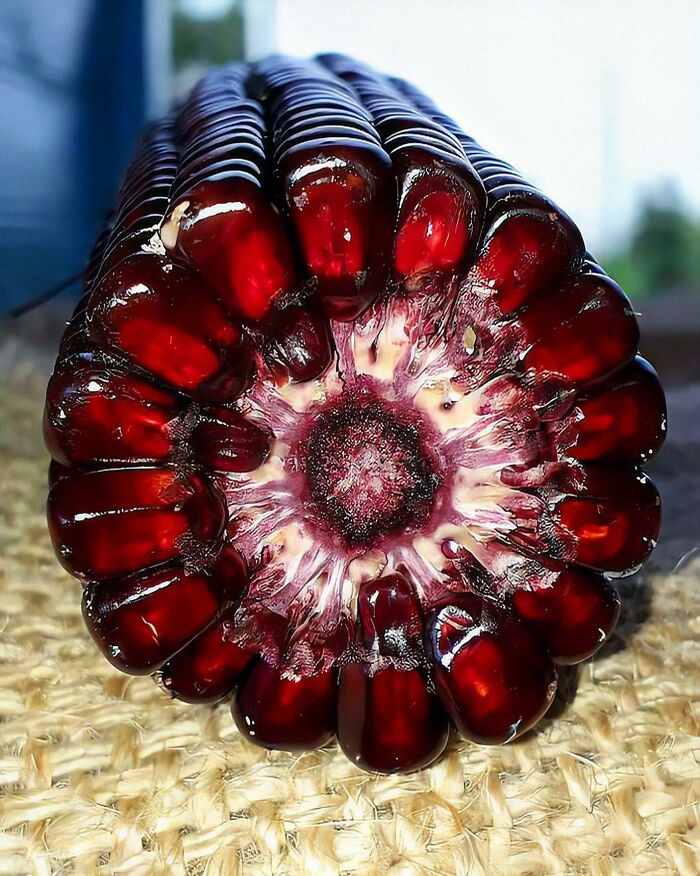 Wait Till You See These Wild Nature Pics That Totally Make You Go Whoa!