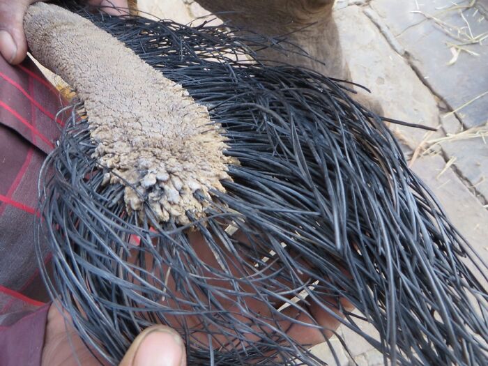 Wait Till You See These Wild Nature Pics That Totally Make You Go Whoa!