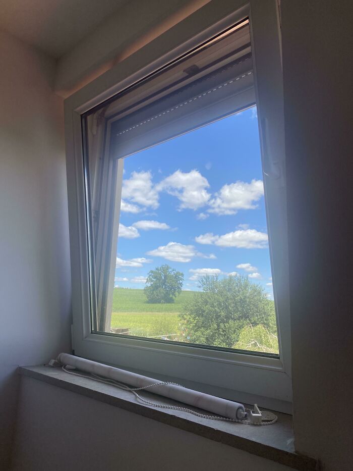 Wait Till You See These Wild Nature Pics That Totally Make You Go Whoa!