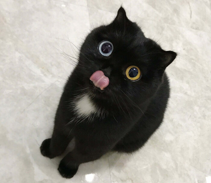 When Your Eyes Steal the Show