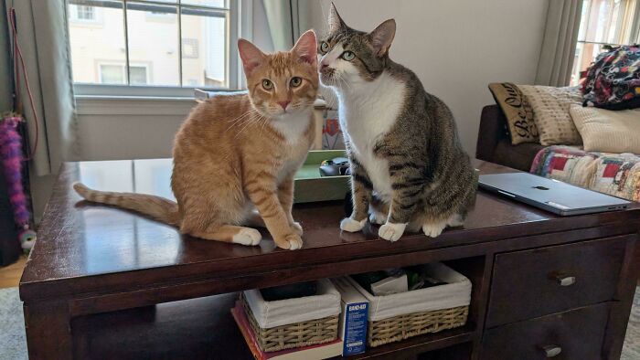 What Shady Advice Is Whispered Here? We’re Dying To Know!