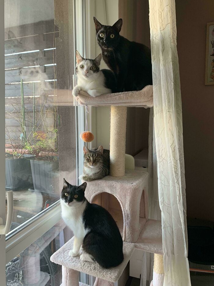 I Crashed Their Daily Bird Watching Session—Big Mistake!