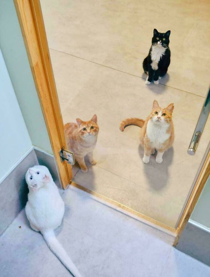 What The Heck Are These Board Directors Thinking?