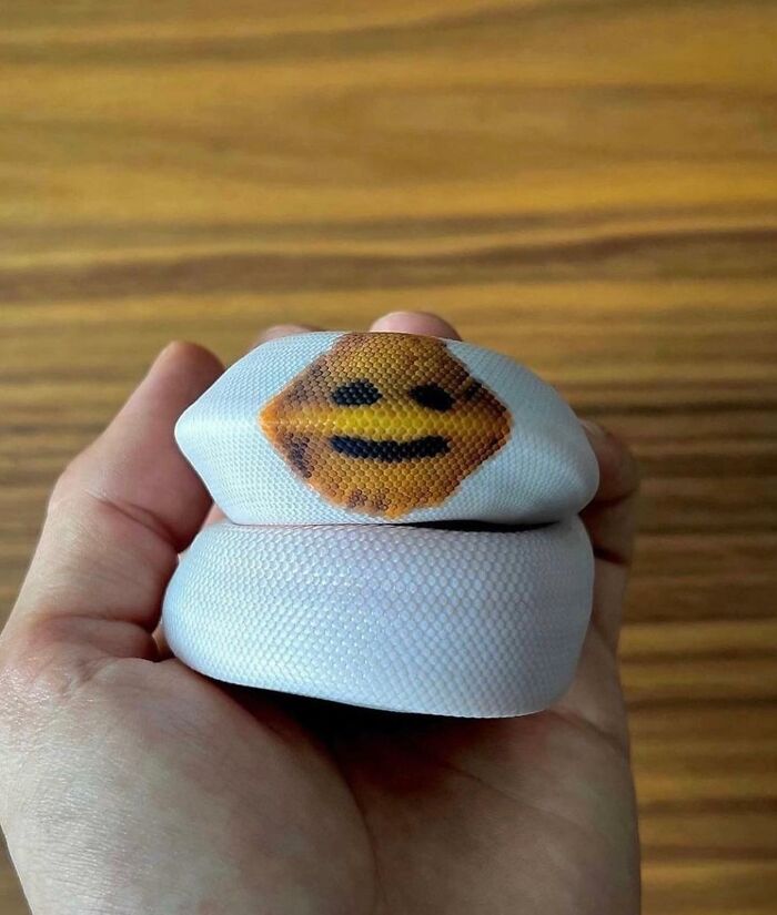 30 Pics That Prove Reality’s Got Some Serious Bugs (No, Seriously!)