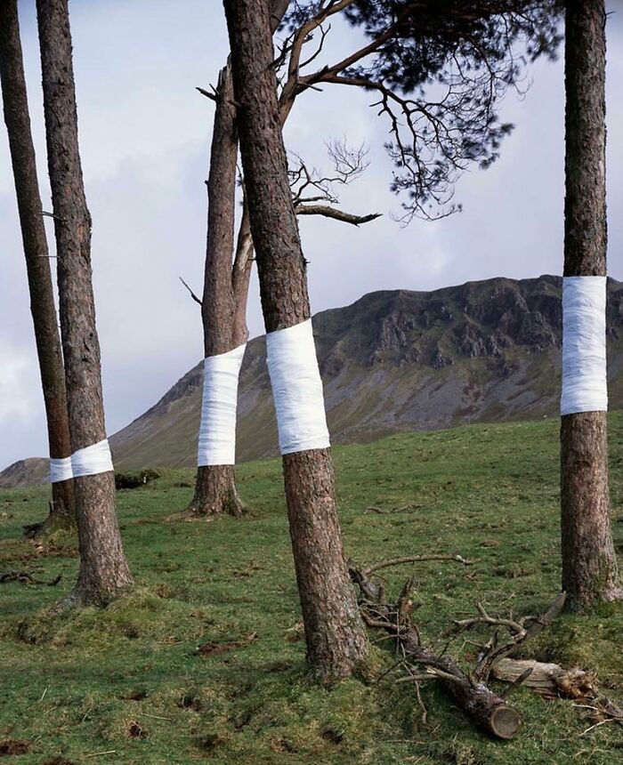 30 Pics That Prove Reality’s Got Some Serious Bugs (No, Seriously!)