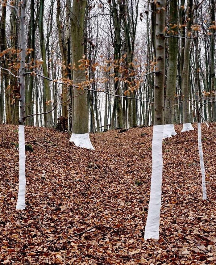 30 Pics That Prove Reality’s Got Some Serious Bugs (No, Seriously!)