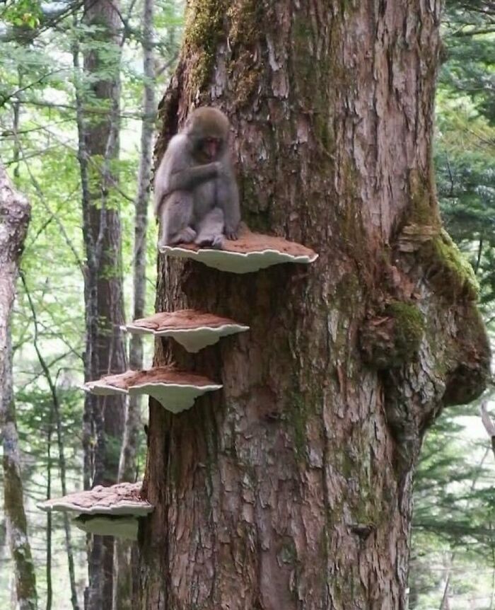 30 Pics That Prove Reality’s Got Some Serious Bugs (No, Seriously!)