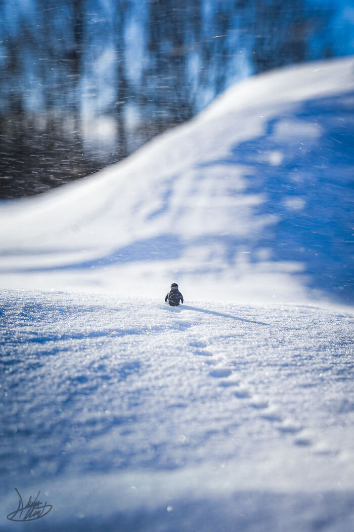 These LEGO Star Wars Pics Make You Do A Double Take!