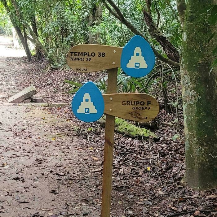 These Signs Point The Same Way And Confuse Everyone