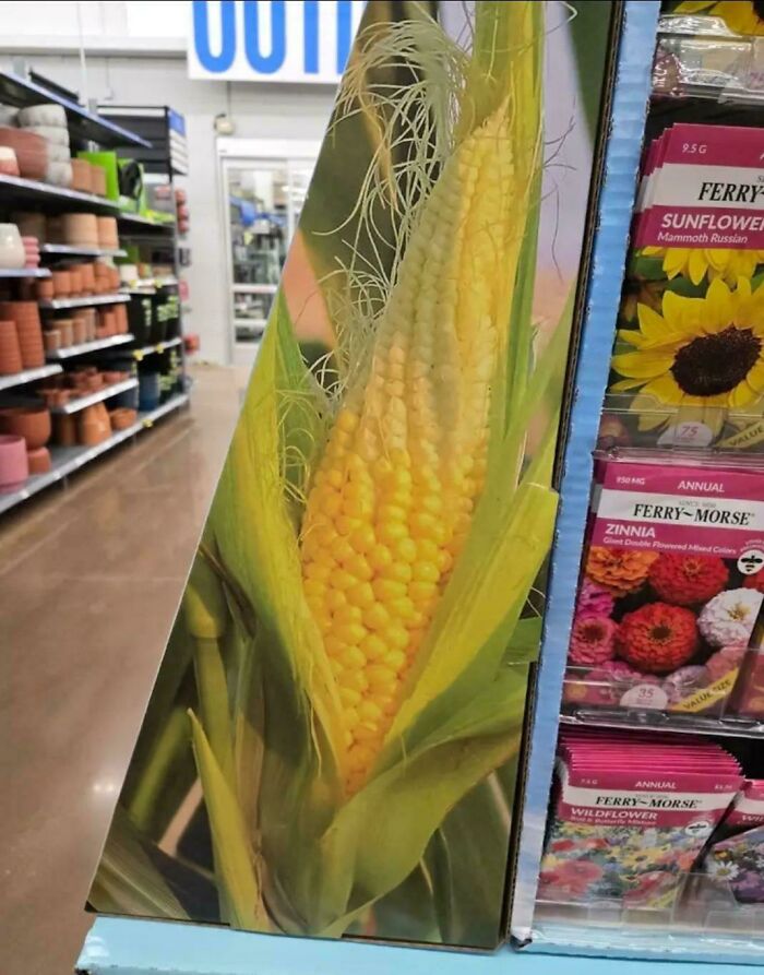 Half-Empty Corn Package Says "Buy Our Seeds"