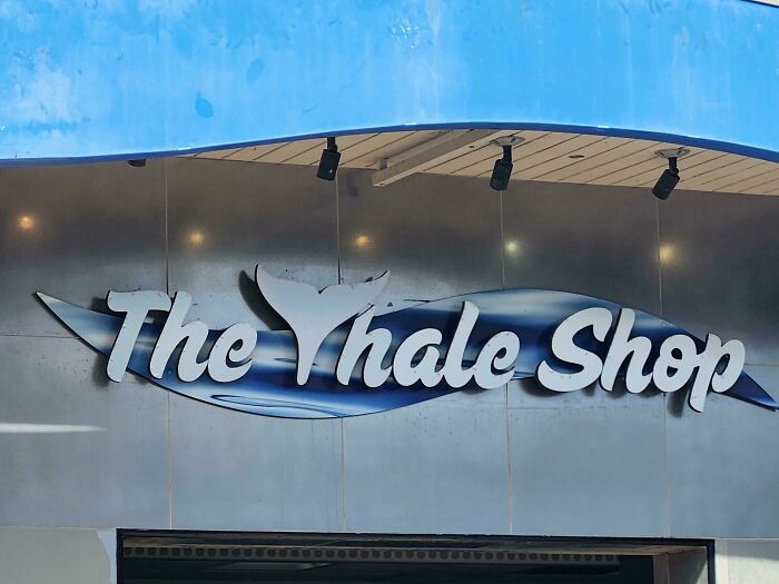 Seaworld Officially Becomes "The Yhale Shop"