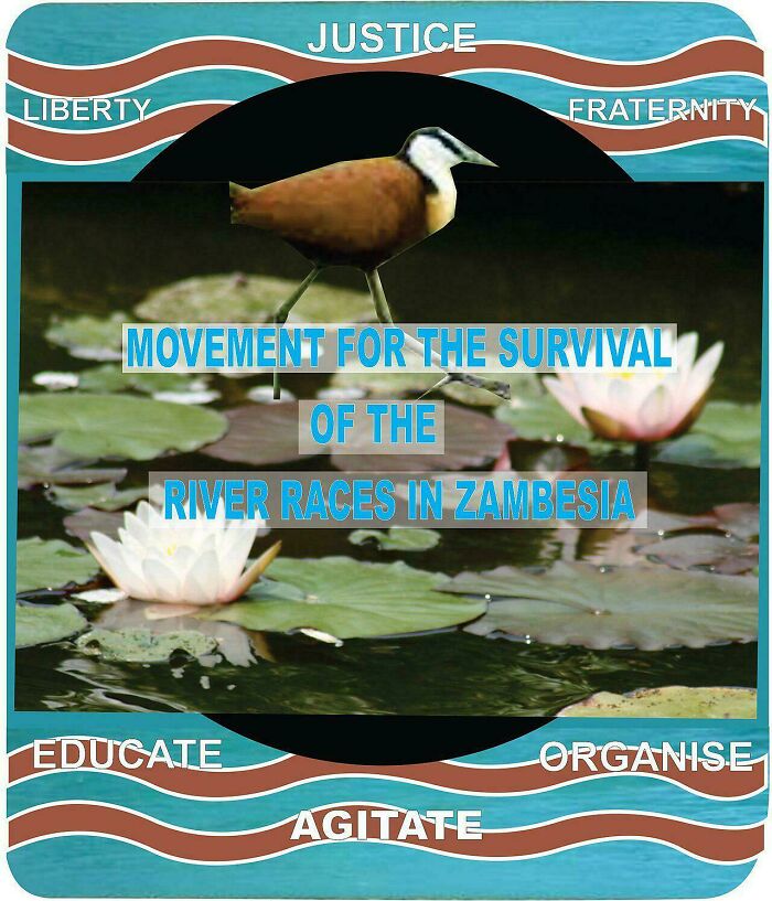 Weird Coat Of Arms From Unrecognized African Region