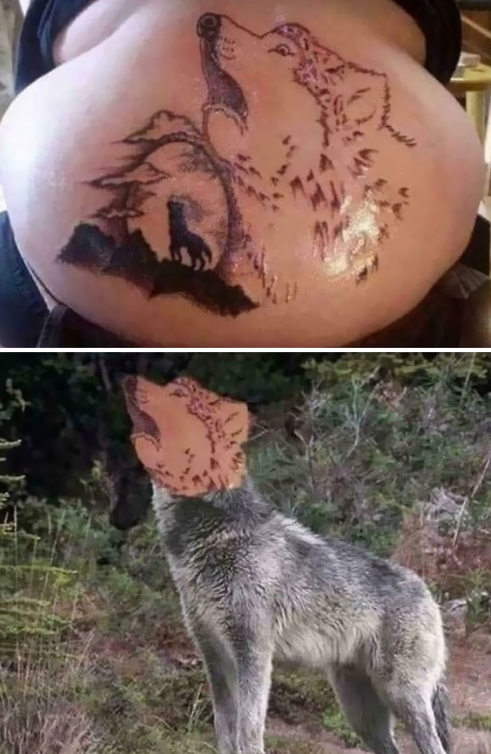 Howling At The Egg Moon? What?