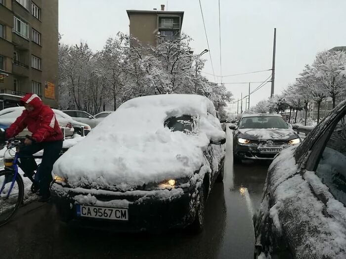 Windy Day? Meet This Chill Dude Who’s Too Lazy To Move