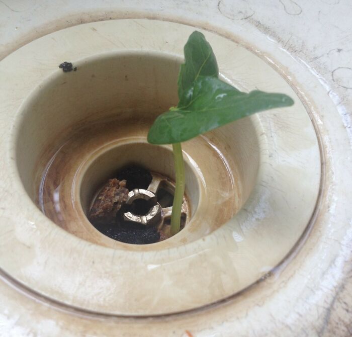 Oops, Did Someone Just Invent Laziness 2.0? Check Out These Hilariously Lazy Fails