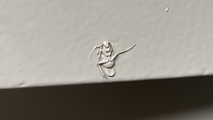 Oops, Did Someone Just Invent Laziness 2.0? Check Out These Hilariously Lazy Fails