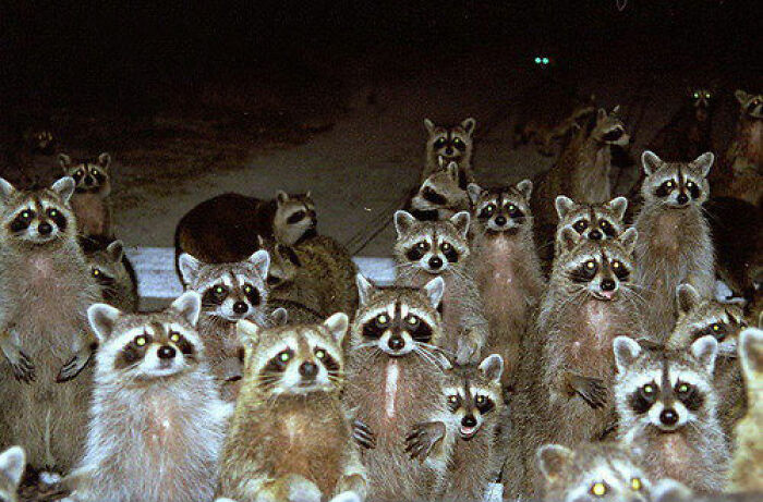 Spooky, Weird, And Hilarious Night Shift Stories You'll Actually Want To Hear