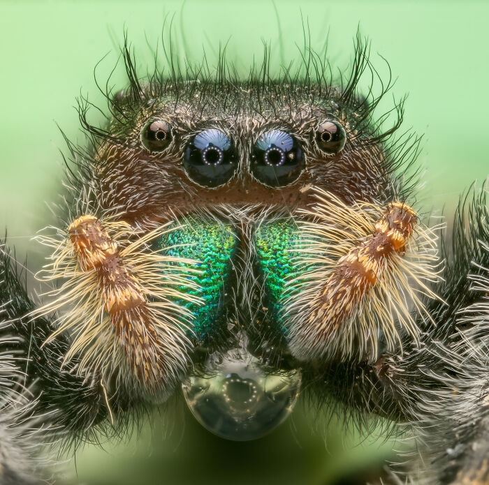 Hold Up, These Nature Photos Are Next-Level! Check Out The 2025 IPA Winners