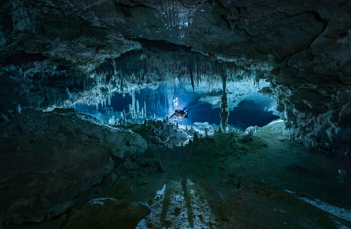 Hold Up, These Nature Photos Are Next-Level! Check Out The 2025 IPA Winners