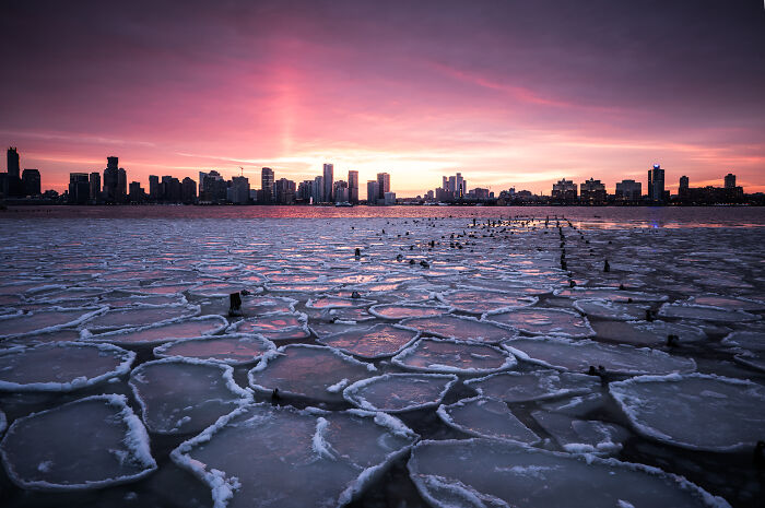 Hold Up, These Nature Photos Are Next-Level! Check Out The 2025 IPA Winners