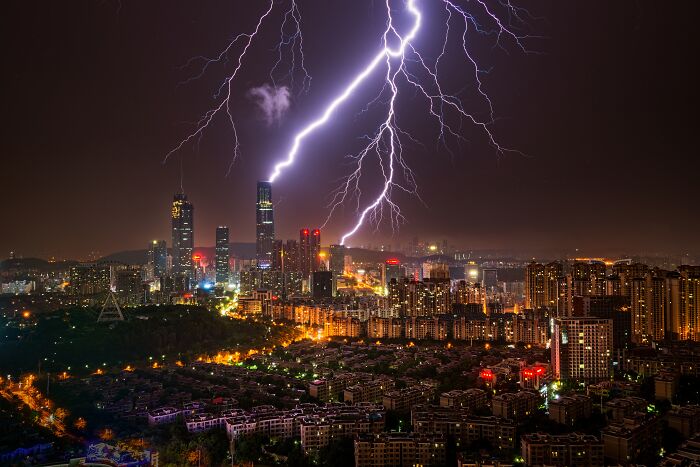 Hold Up, These Nature Photos Are Next-Level! Check Out The 2025 IPA Winners