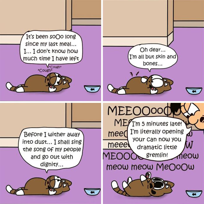 Living With Cats: The Hilarious Chaos in These Comics Will Totally Get You