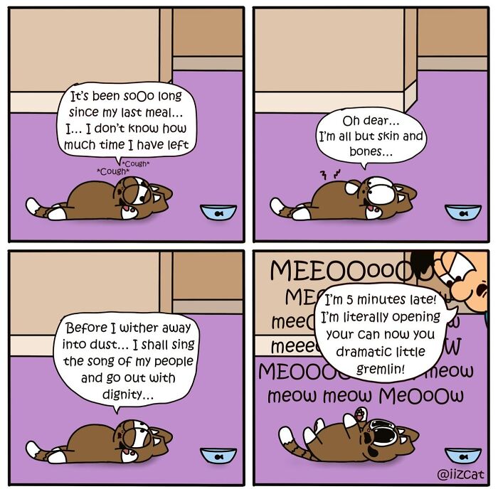 Living With Cats: The Hilarious Chaos in These Comics Will Totally Get You