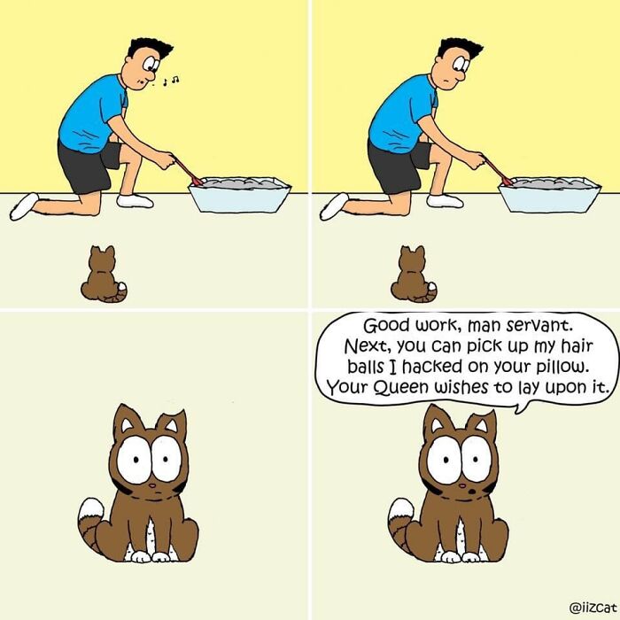 Living With Cats: The Hilarious Chaos in These Comics Will Totally Get You