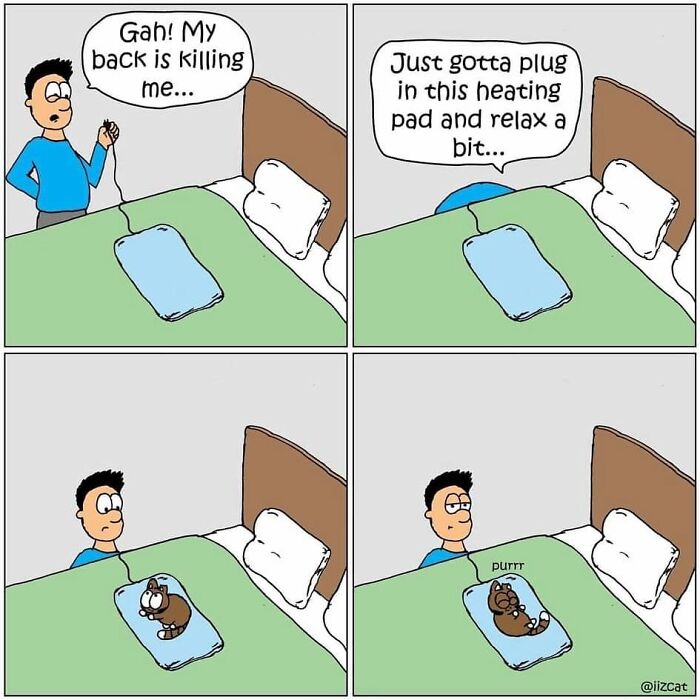 Living With Cats: The Hilarious Chaos in These Comics Will Totally Get You