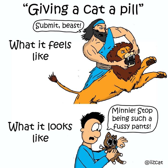 Living With Cats: The Hilarious Chaos in These Comics Will Totally Get You