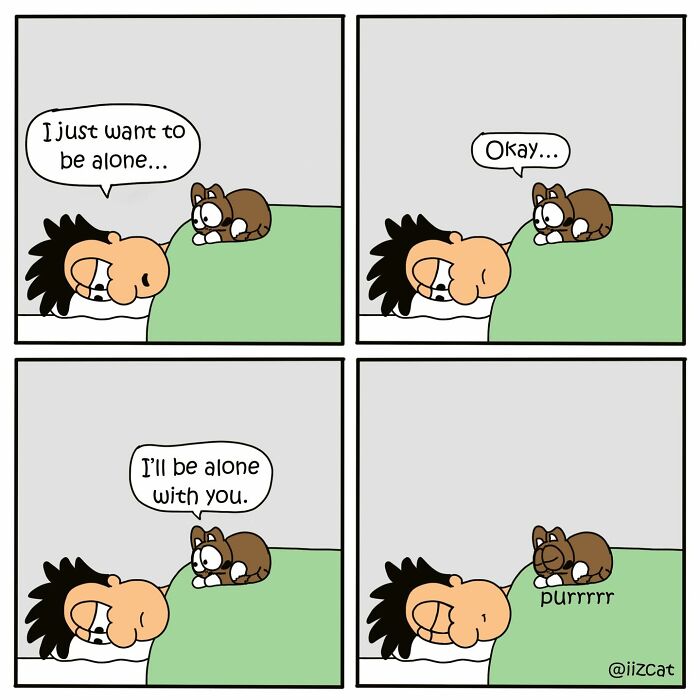 Living With Cats: The Hilarious Chaos in These Comics Will Totally Get You