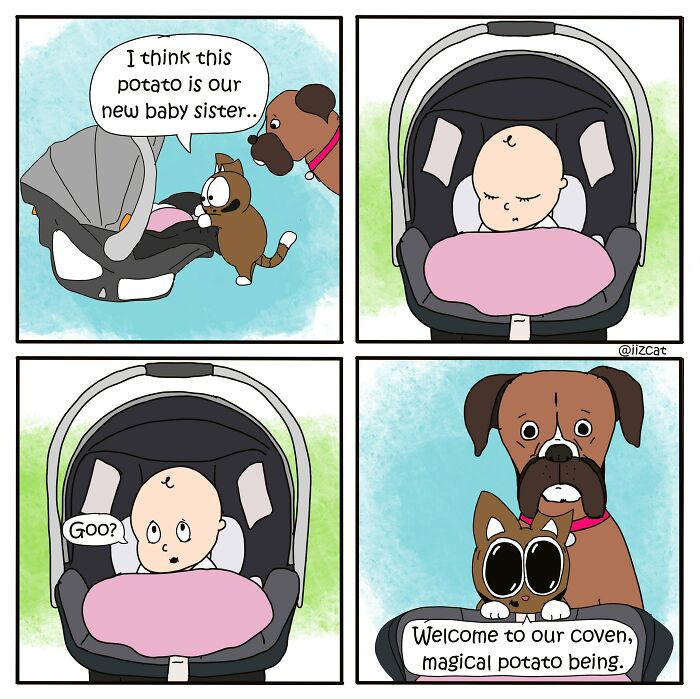 Living With Cats: The Hilarious Chaos in These Comics Will Totally Get You