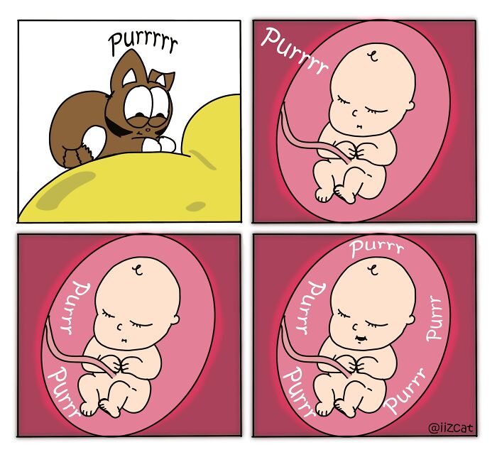 Living With Cats: The Hilarious Chaos in These Comics Will Totally Get You