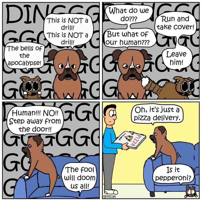 Living With Cats: The Hilarious Chaos in These Comics Will Totally Get You