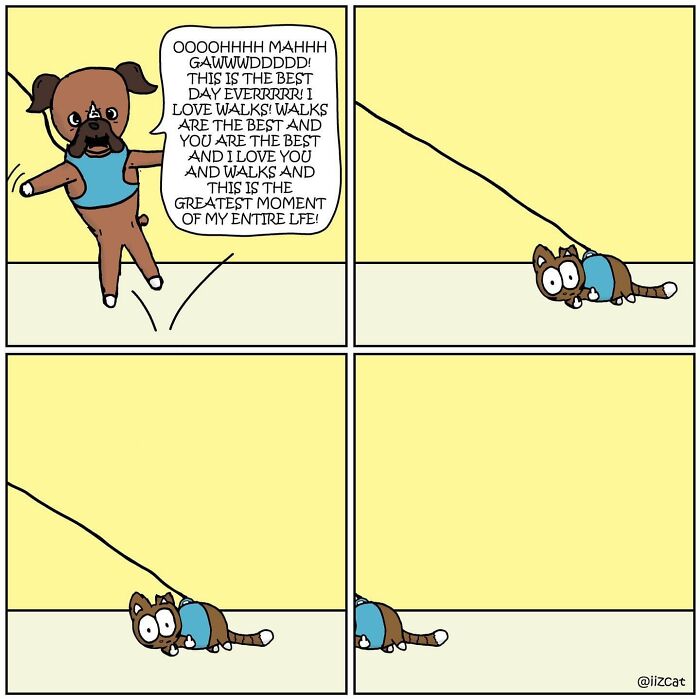 Living With Cats: The Hilarious Chaos in These Comics Will Totally Get You