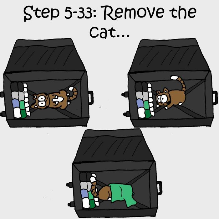 Living With Cats: The Hilarious Chaos in These Comics Will Totally Get You