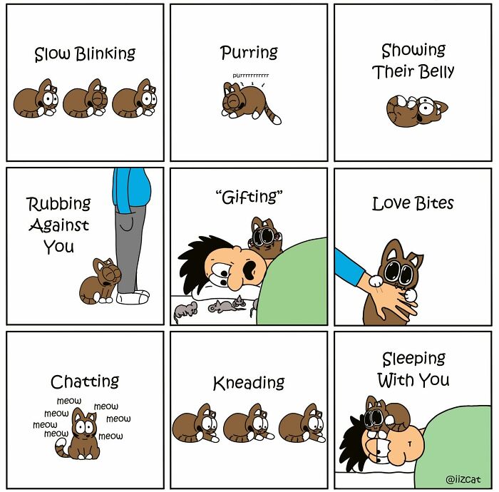 Living With Cats: The Hilarious Chaos in These Comics Will Totally Get You