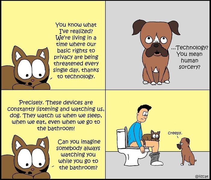 Living With Cats: The Hilarious Chaos in These Comics Will Totally Get You