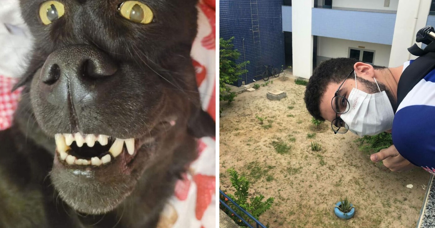 Whoa, Wait Till You See These Mind-Boggling Pics That Totally Mess With Your Brain