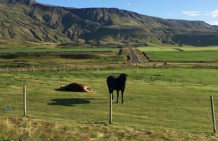 We Got A Floater And It’s Freaking My Brain Out