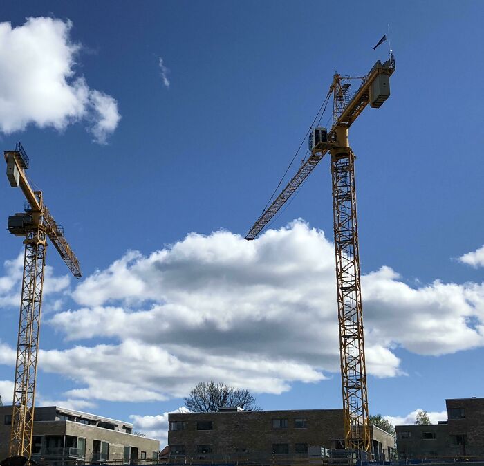 Crane Looks Like It Just Went Behind A Cloud. Magic or What?